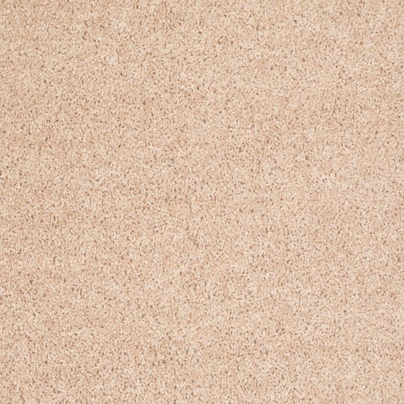 Shaw Floors Shaw Design Center Royal Portrush 1 12 Net Crumpet