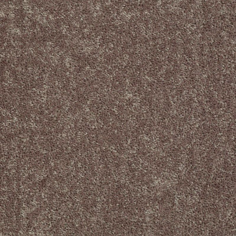 Shaw Floors Shaw Design Center Royal Portrush 1 12 Net Driftwood