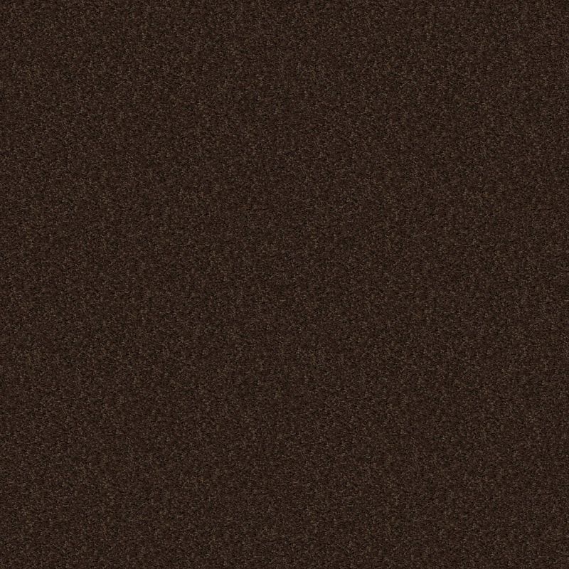 Shaw Floors Shaw Design Center Royal Portrush 1 12 Net Coffee Bean