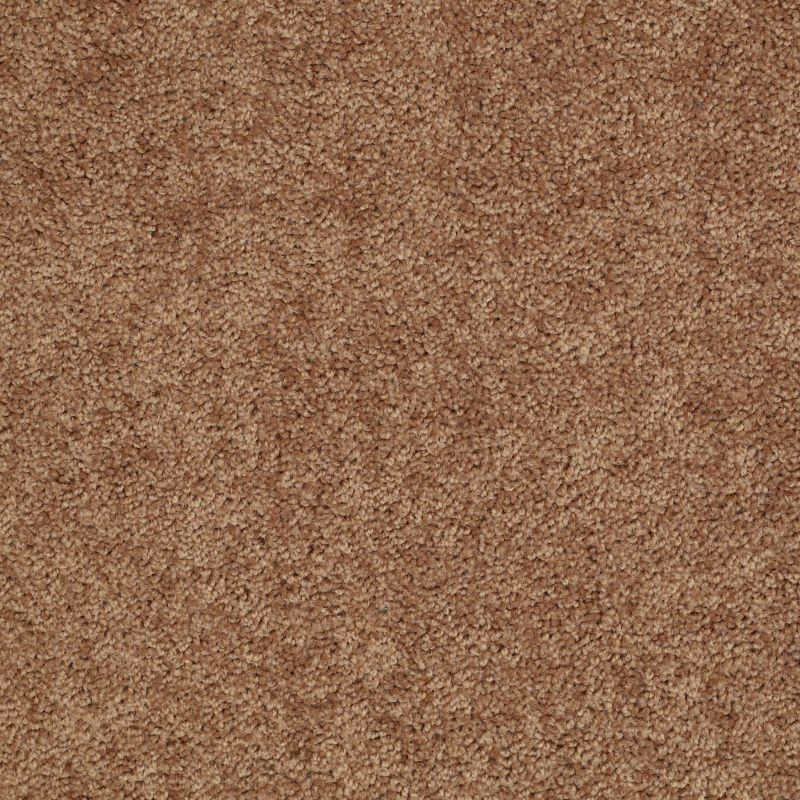 Shaw Floors Shaw Design Center Royal Portrush 1 12 Net Desert Sunrise