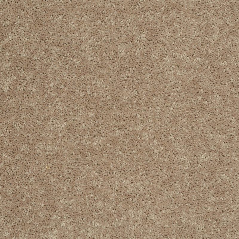Shaw Floors Shaw Design Center Royal Portrush 1 15 Net Tassel