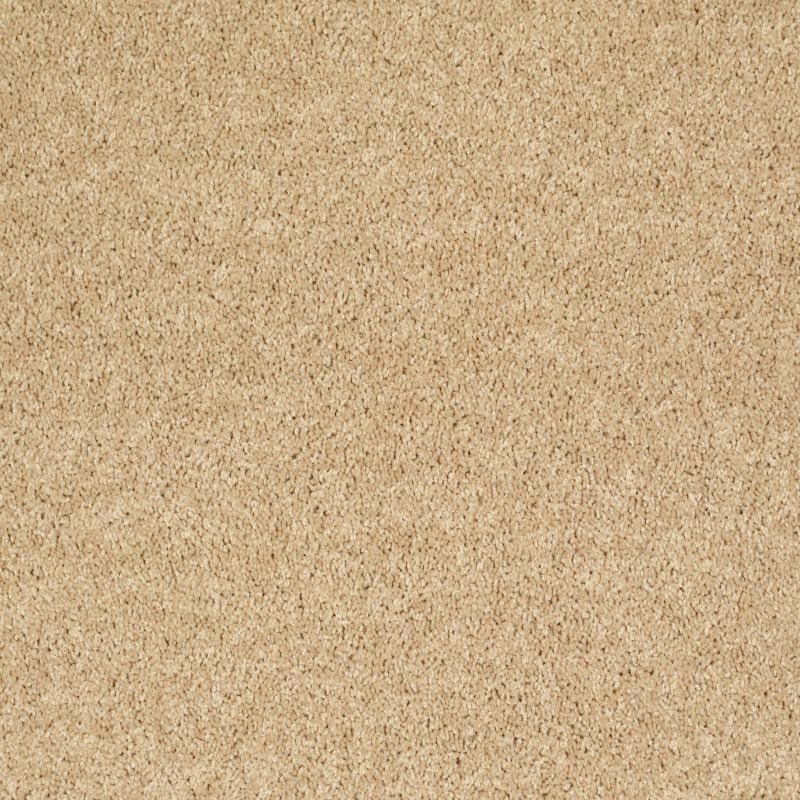 Shaw Floors Shaw Design Center Royal Portrush 1 15 Net Crumpet