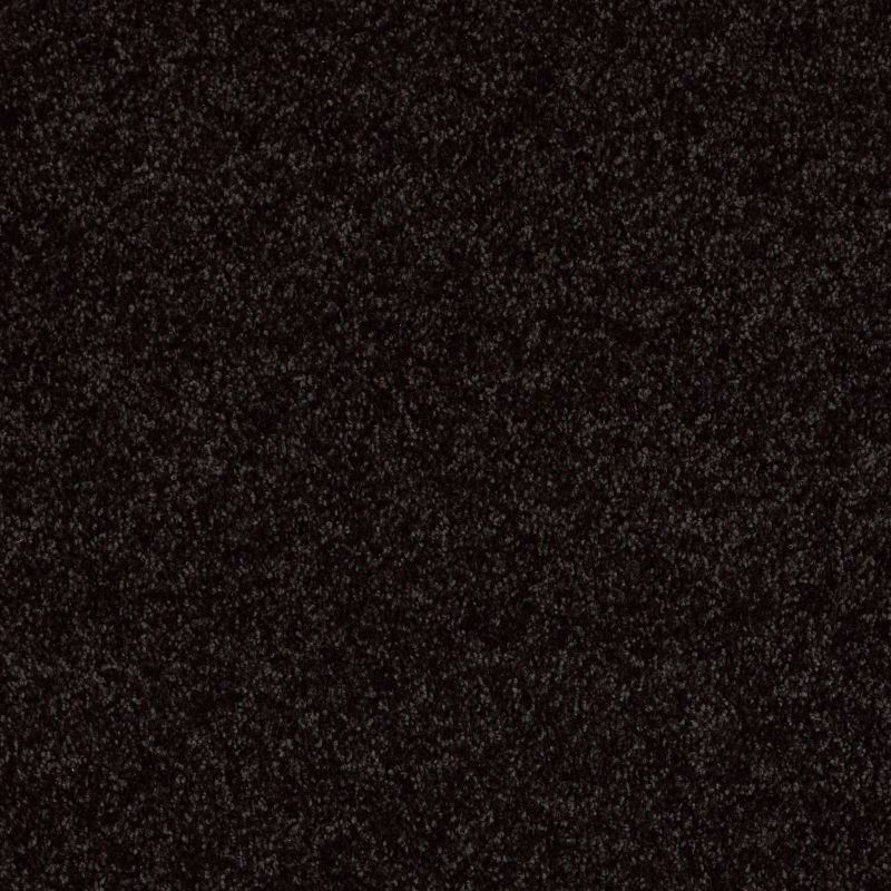 Shaw Floors Shaw Design Center Royal Portrush 1 15 Net Armour
