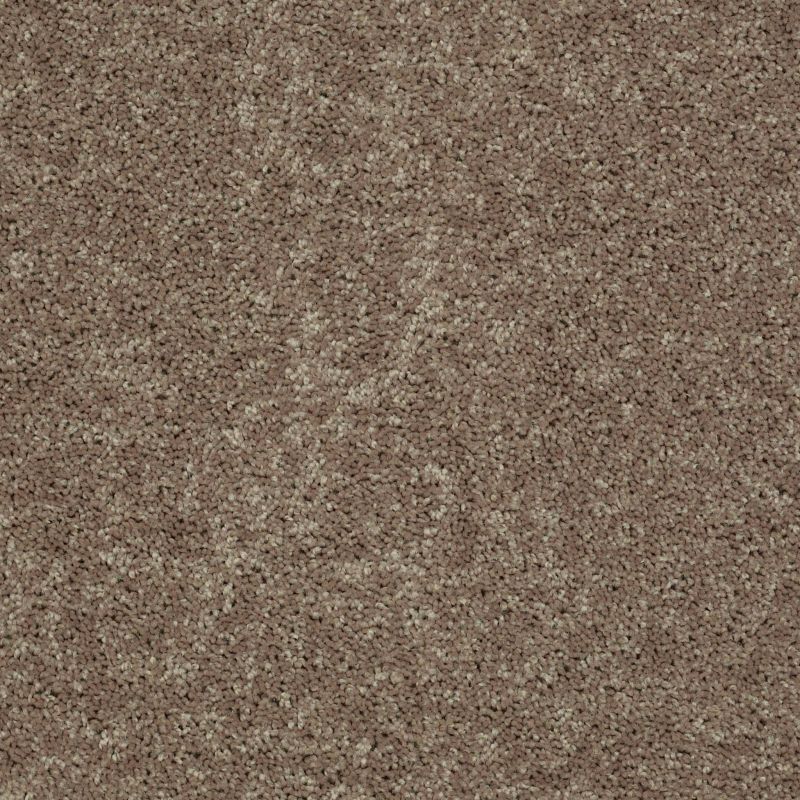 Shaw Floors Shaw Design Center Royal Portrush 1 15 Net Hearth Stone