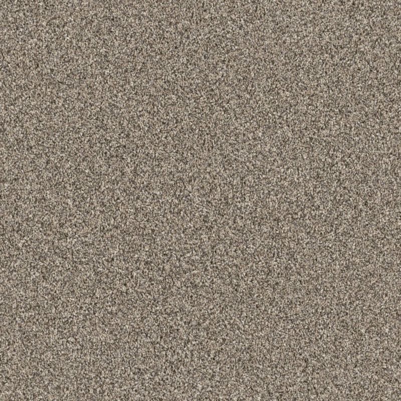 Shaw Floors Pet Perfect Grandiose Net Sandstone