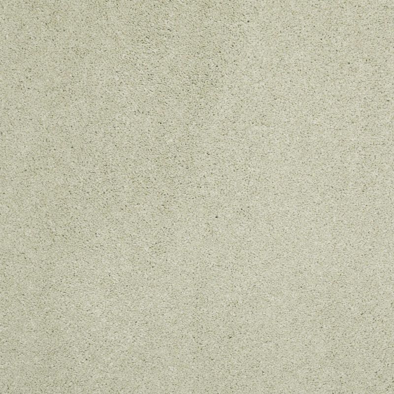 Shaw Floors Caress By Shaw Cashmere Classic II Net Celadon