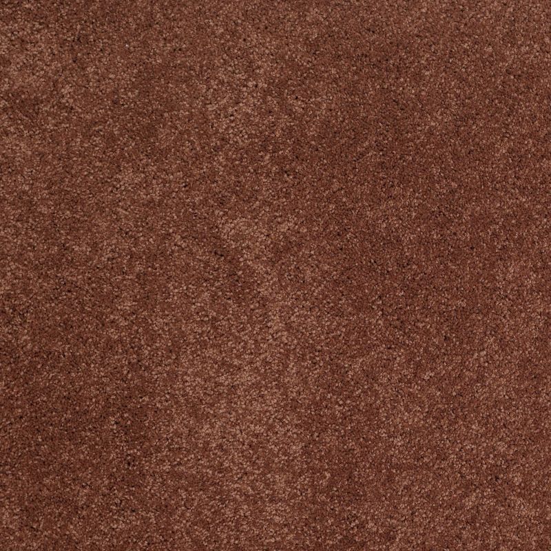 Shaw Floors Caress By Shaw Cashmere Classic II Net Rich Henna