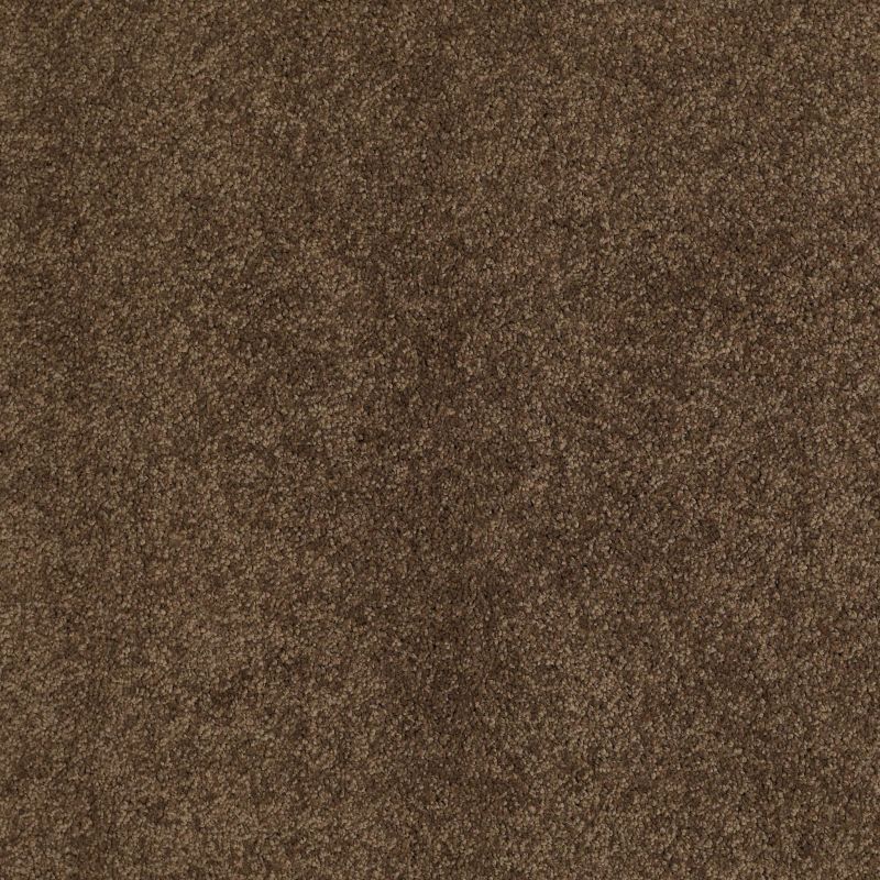 Shaw Floors Caress By Shaw Cashmere Classic II Net Bison