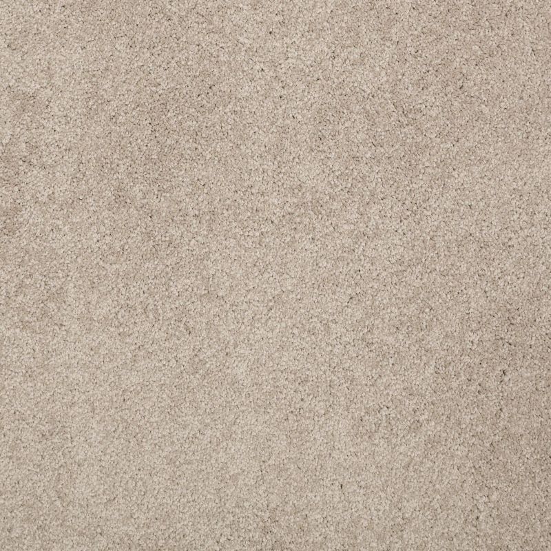 Shaw Floors Caress By Shaw Cashmere Classic II Net White Pine