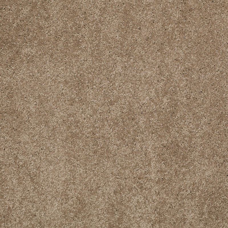 Shaw Floors Caress By Shaw Cashmere Classic II Net Pebble Path
