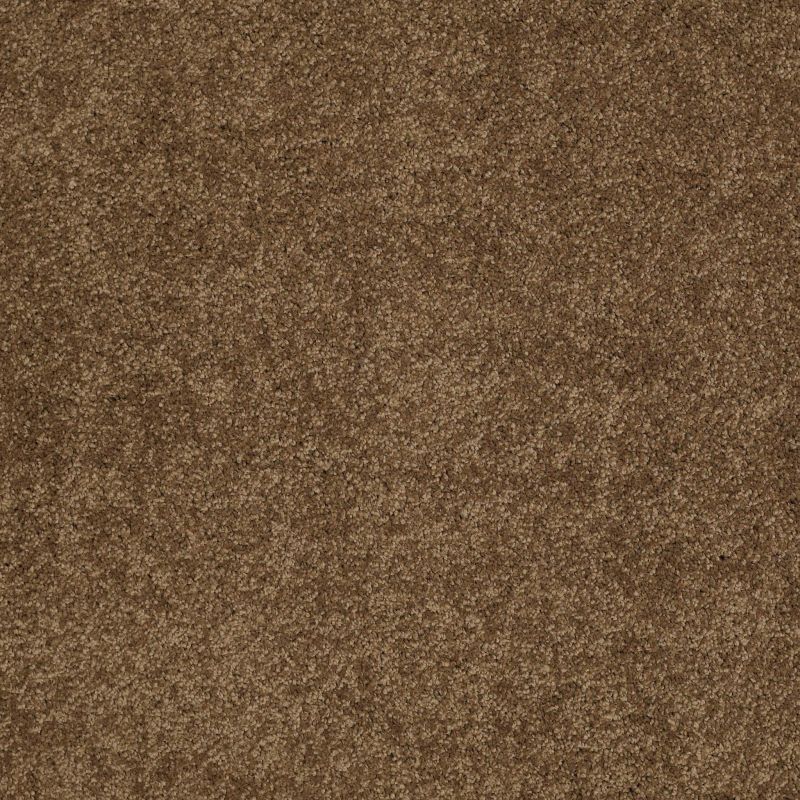 Shaw Floors Caress By Shaw Cashmere Classic II Net Tobacco Leaf