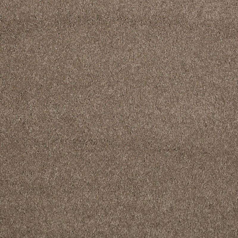 Shaw Floors Caress By Shaw Cashmere Classic II Net Mesquite