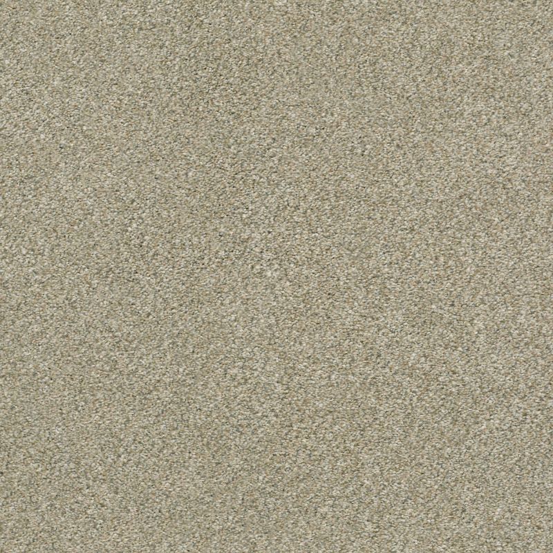 Shaw Floors Simply The Best Boundless III Net Morning Light