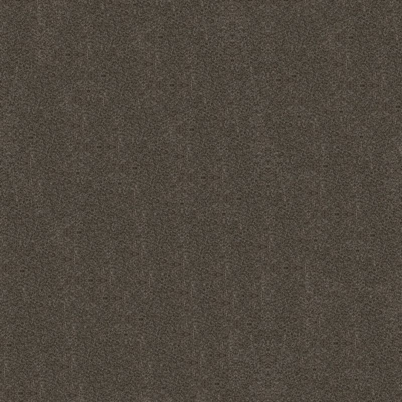 Shaw Floors Simply The Best Boundless Iv Net Cabana