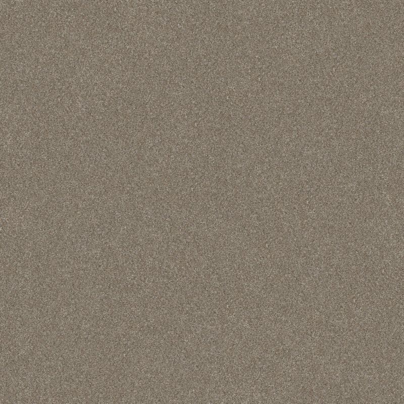 Shaw Floors Simply The Best Without Limits II Net Macadamia