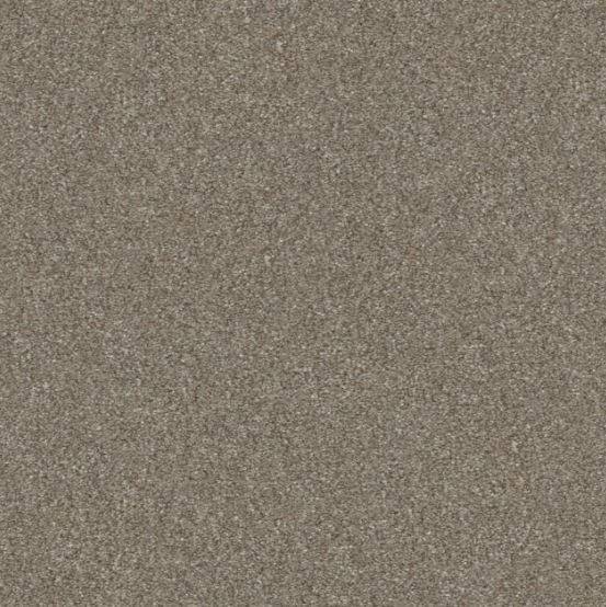 Shaw Floors Simply The Best Without Limits III Net Macadamia