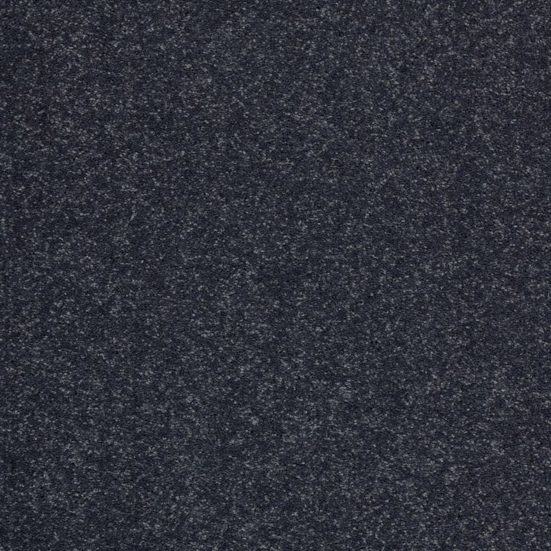 Shaw Floors Value Collections Sandy Hollow Cl II Net Dutch Boy