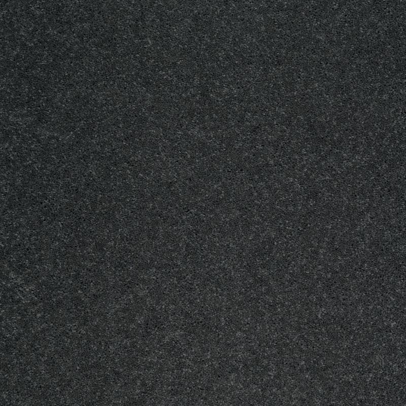 Shaw Floors Value Collections Sandy Hollow Cl II Net Lagoon