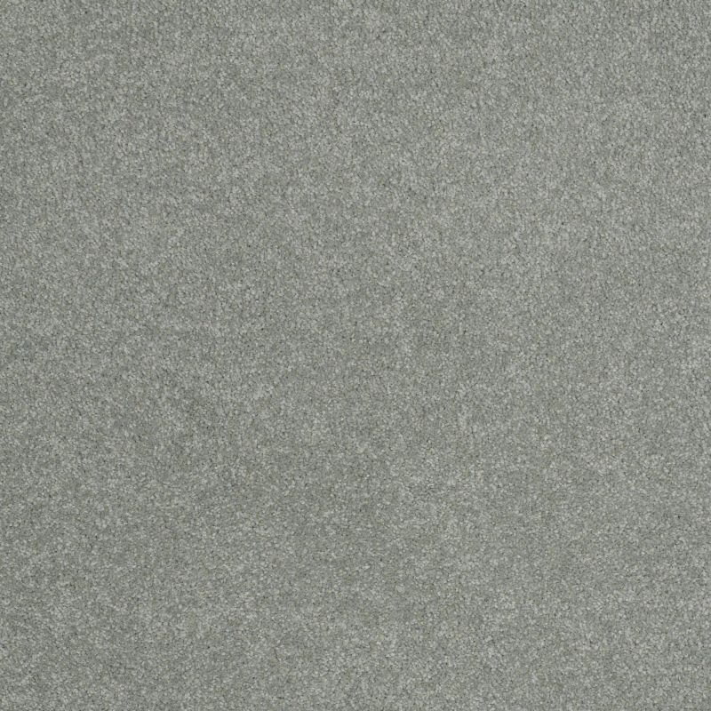 Shaw Floors Value Collections Sandy Hollow Cl III Net Tropical Surf