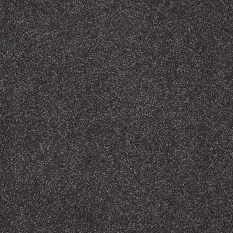 Shaw Floors Value Collections Sandy Hollow Cl Iv Net Dutch Boy