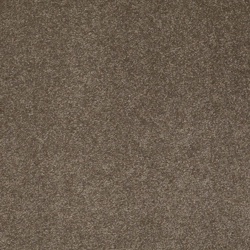 Shaw Floors Value Collections Sandy Hollow Cl Iv Net Castle Rock
