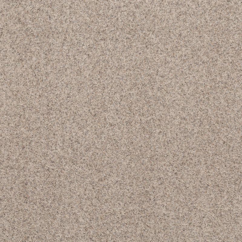 Shaw Floors Value Collections Work It Out Net Reliable Beige