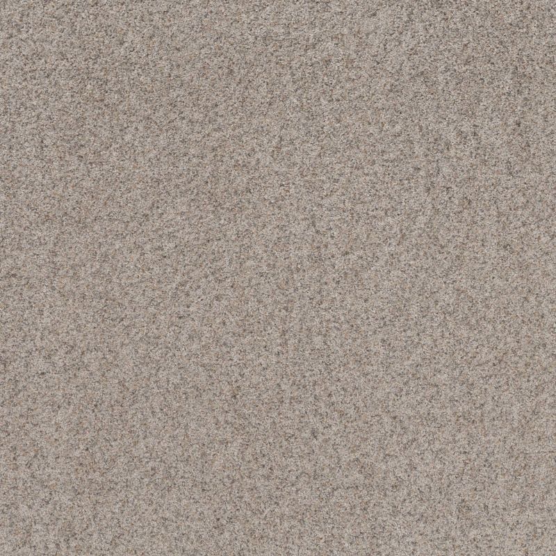 Shaw Floors Value Collections Work It Out Net Perfect Greige