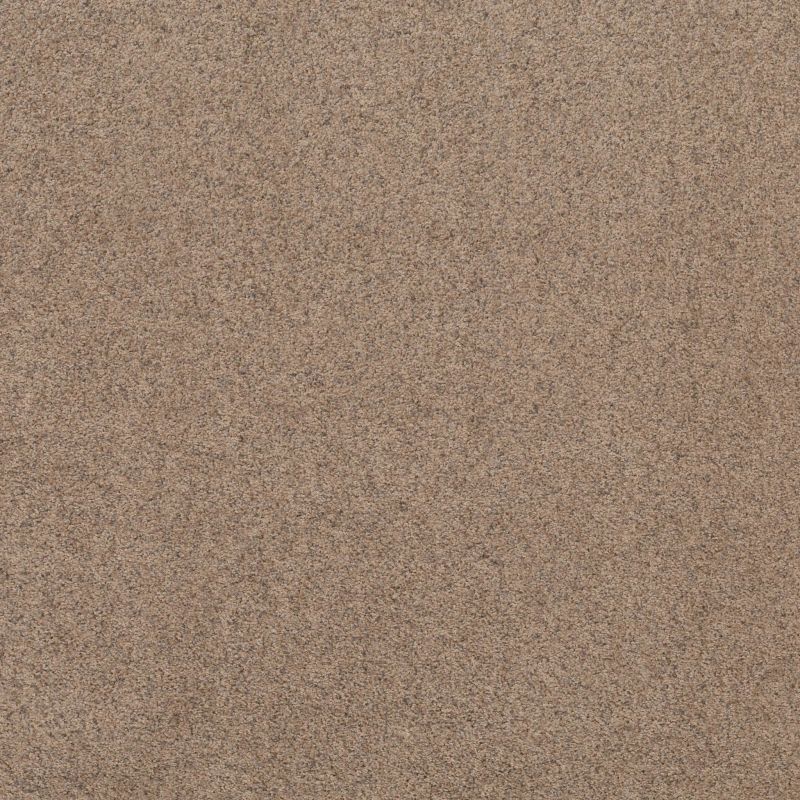 Shaw Floors Value Collections Work It Out Net Pebble