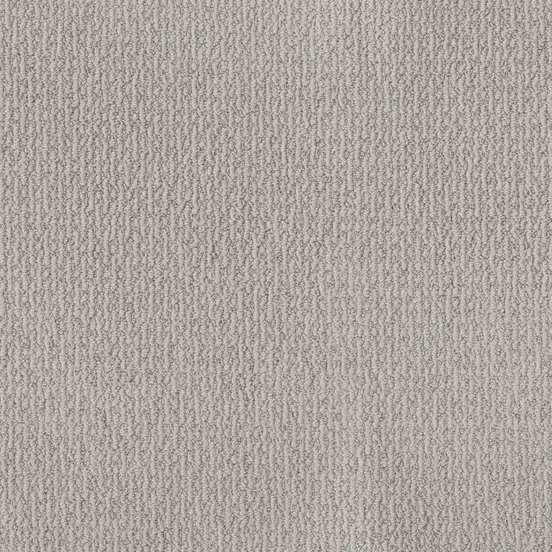 Shaw Floors Pet Perfect Plus Crafted Embrace Net Sentimental