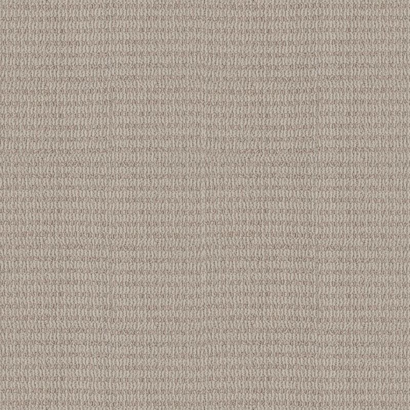 Shaw Floors Pet Perfect Plus Chic Elevation Net Sandstone