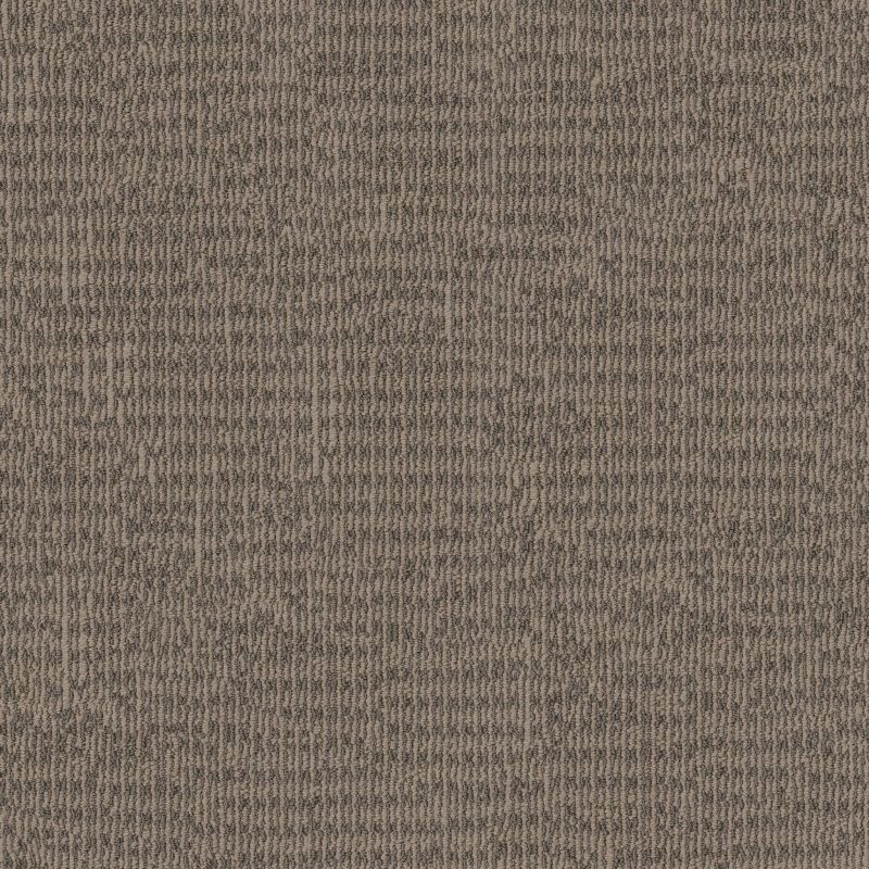 Shaw Floors Pet Perfect Plus Chic Elevation Net Raw Wood