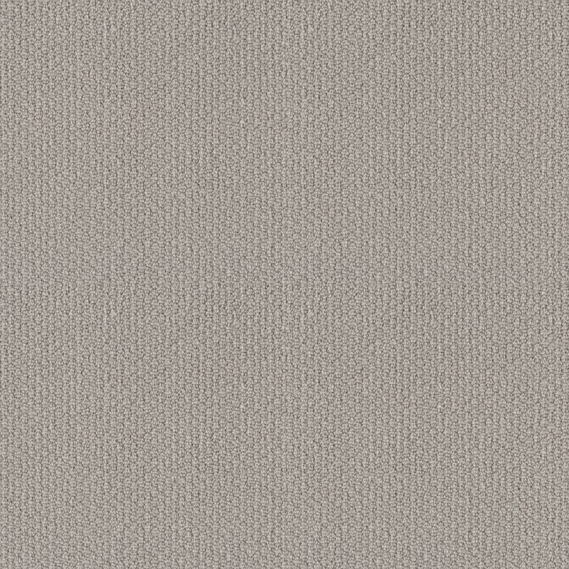 Shaw Floors Value Collections Channeling Net Warm Greige