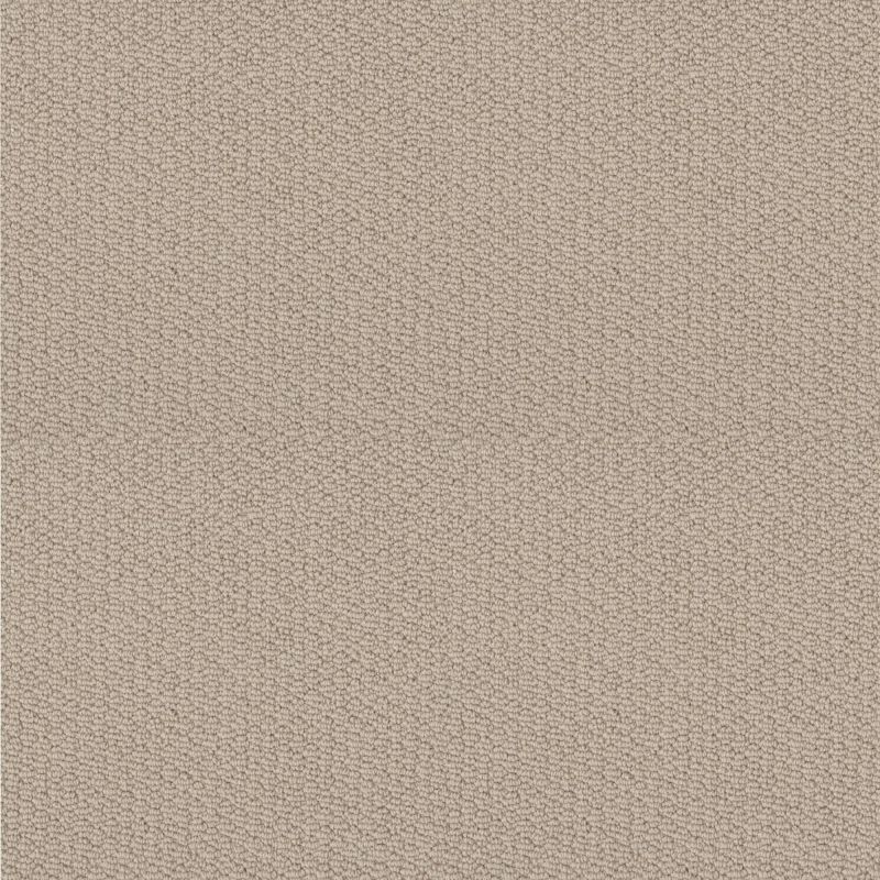Shaw Floors Value Collections Channeling Net Natural Wood