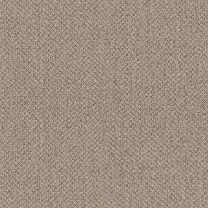 Shaw Floors Value Collections Channeling Net Pebble Path