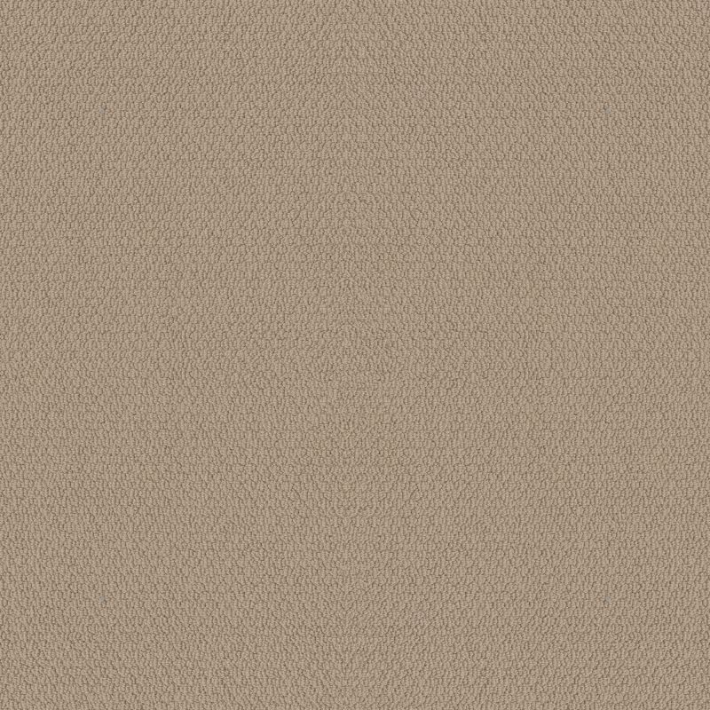 Shaw Floors Value Collections Channeling Net Wheat