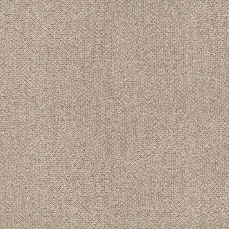 Shaw Floors Value Collections Embellished Net Malibu Dune