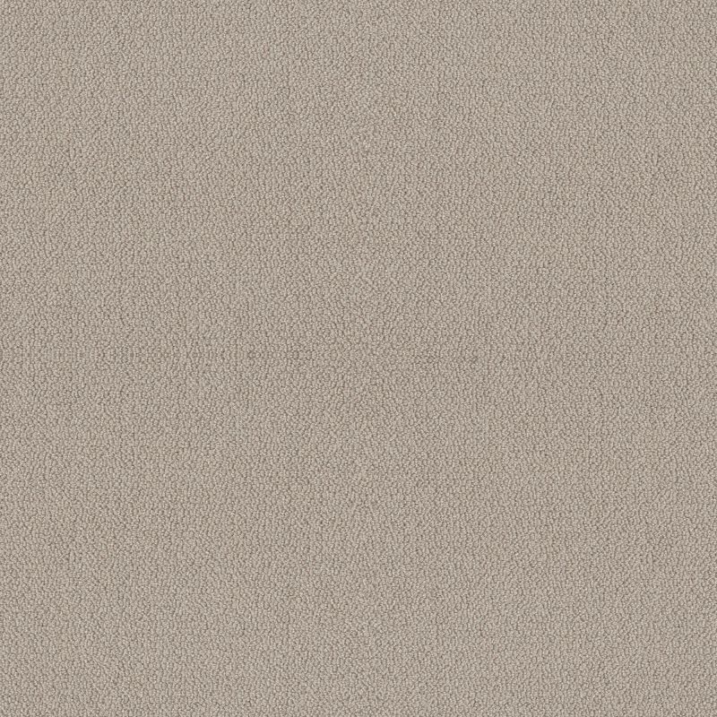 Shaw Floors Value Collections Embellished Net Birch