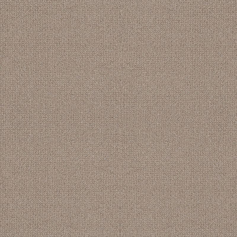 Shaw Floors Value Collections Embellished Net Perfect Taupe