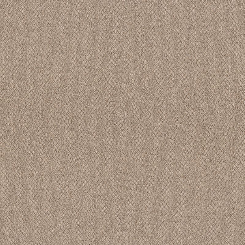 Shaw Floors Value Collections Embellished Net Thatched Roof