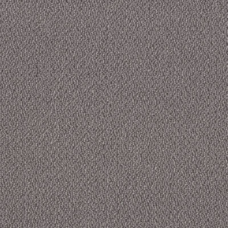 Shaw Floors Value Collections Embellished Net Dolphin
