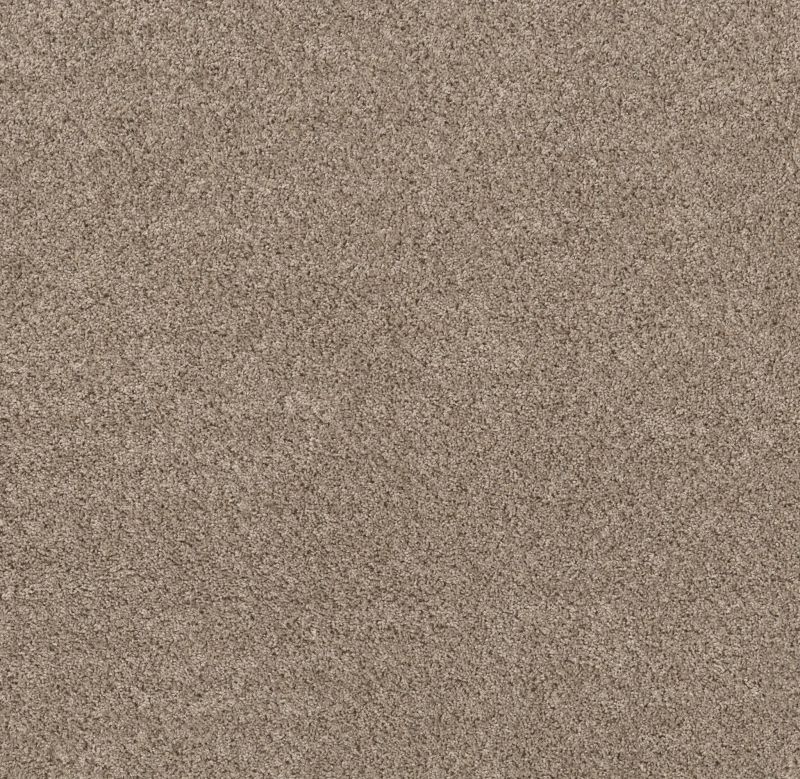 Shaw Floors Mix'd Essentials Sunkissed(t)