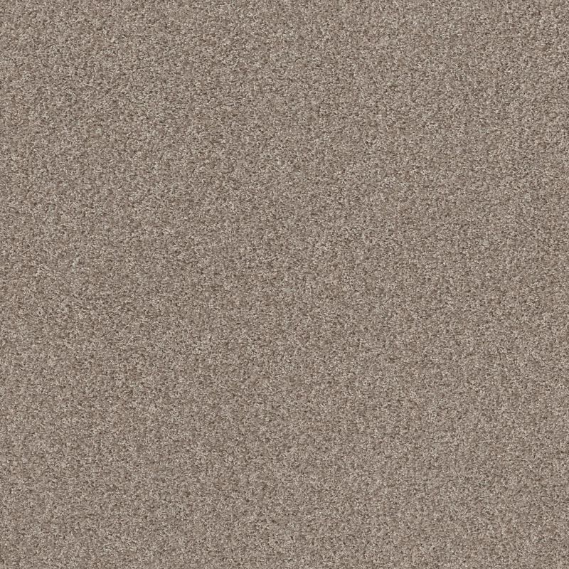 Shaw Floors Spirited Antique Lace