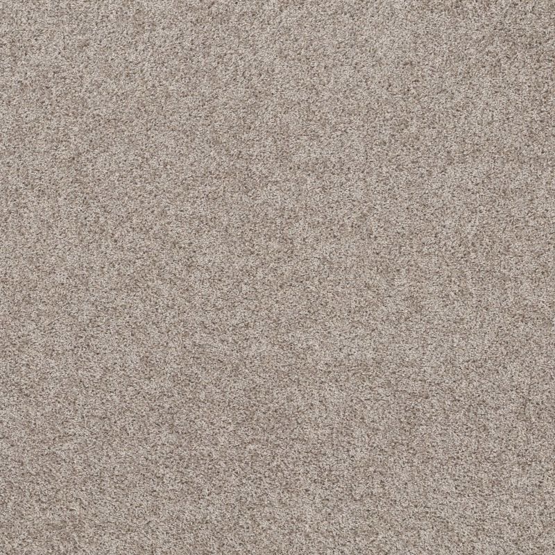 Shaw Floors Spirited Sunkissed
