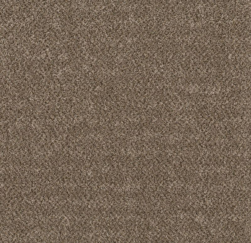 Shaw Floors Basic Mix Raw Wood