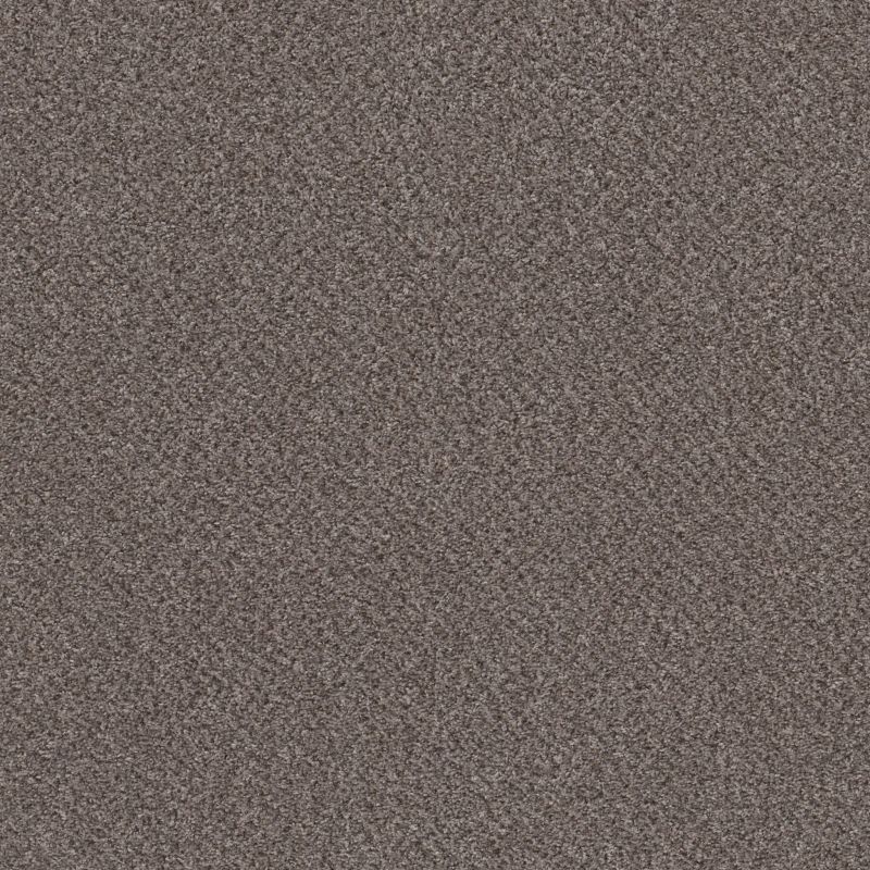 Shaw Floors Basic Mix Anthracite