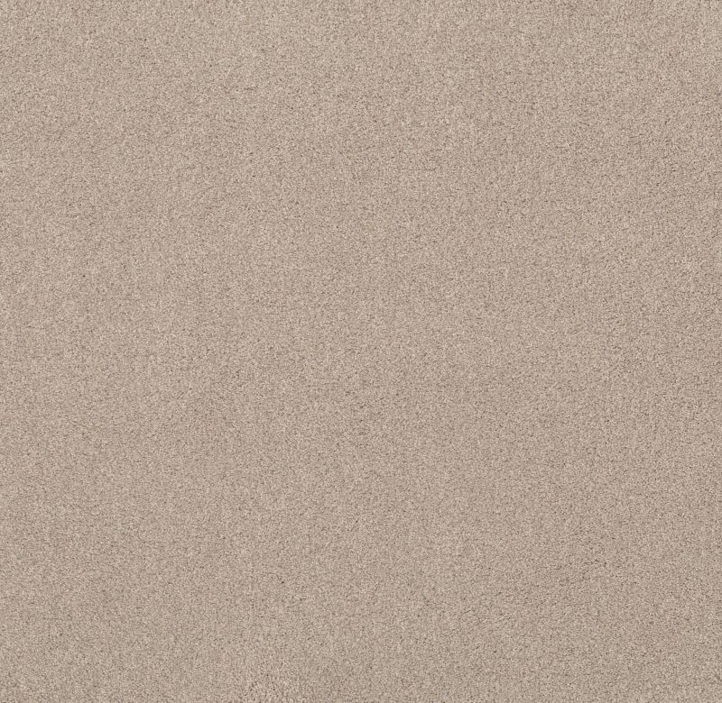 Shaw Floors Live On Comfort Natural Blonde