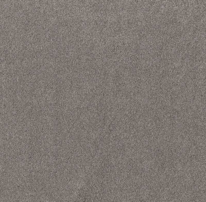 Shaw Floors Live On Comfort Century Taupe