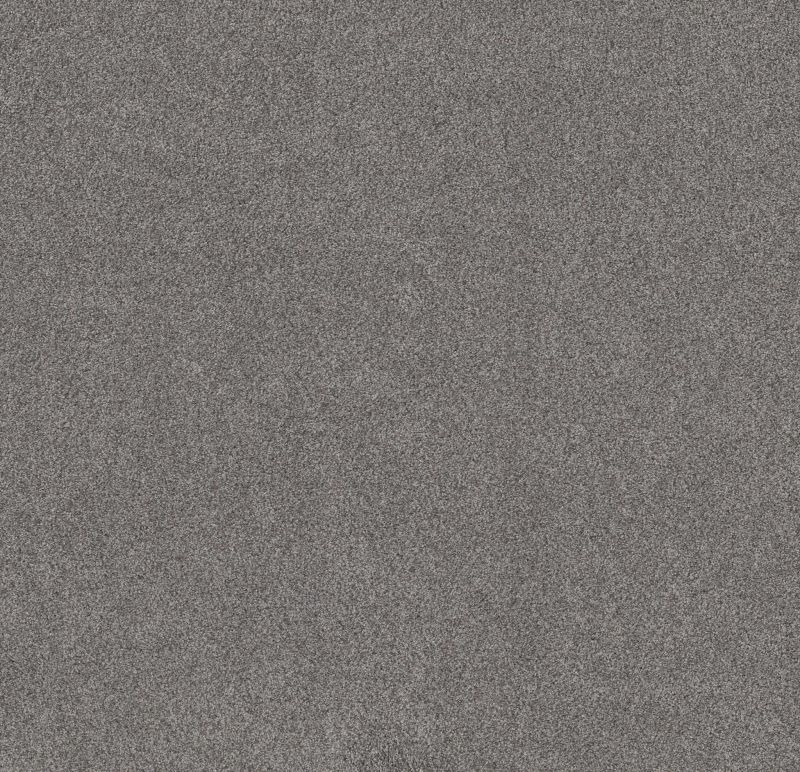 Shaw Floors Value Collections Live On Comfort Net Metro Gray
