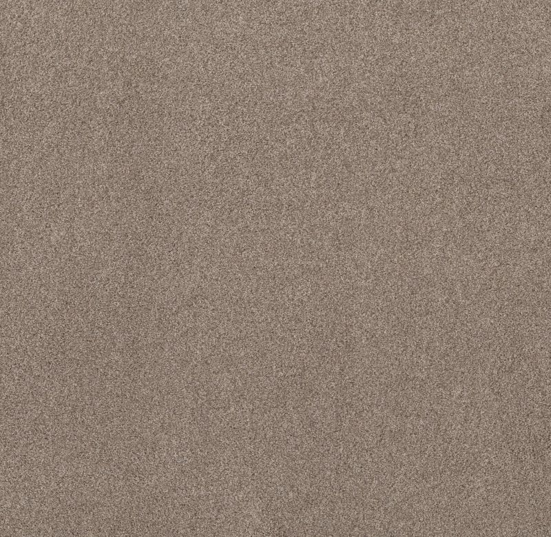 Shaw Floors Value Collections Live On Comfort Net Carriage House