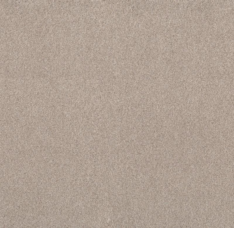 Shaw Floors Value Collections Live On Comfort Net Warm Sand